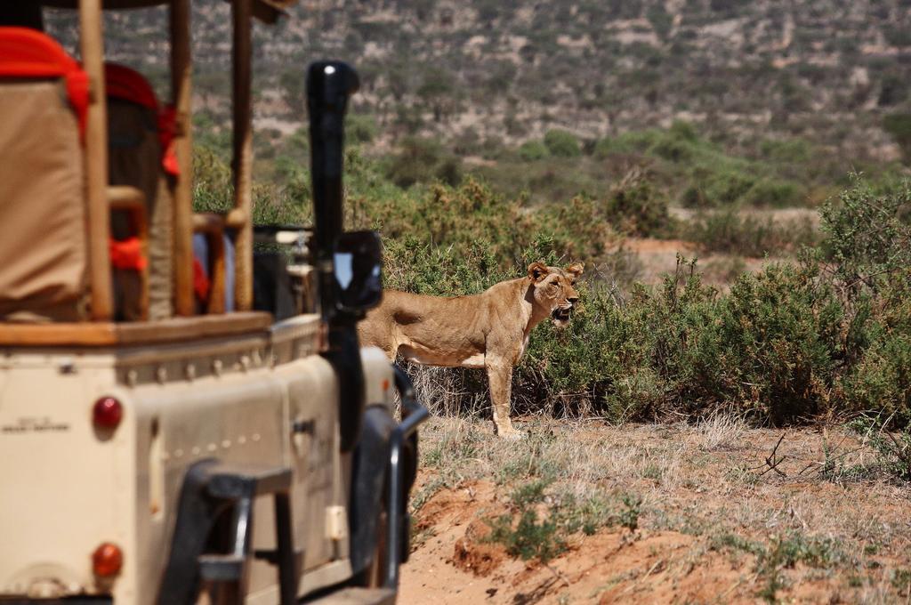 Vila Saruni Samburu Exteriér fotografie